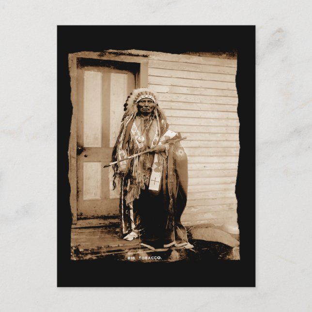 Postal Gran tabaco de origen nativo americano, sala de ba (Anverso)