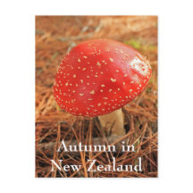 Gran taburete rojo, otoño en Nueva Zelanda