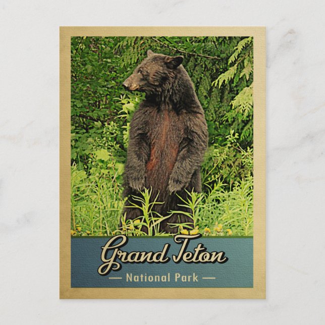 Postal Gran Teton Parque Nacional Oso Vintage (Anverso)