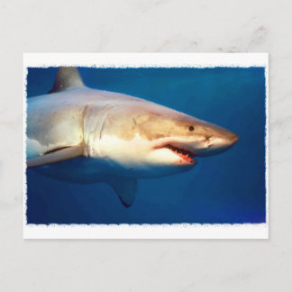 Postal Gran tiburón blanco