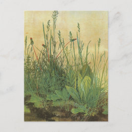 Postal Gran trozo de turf