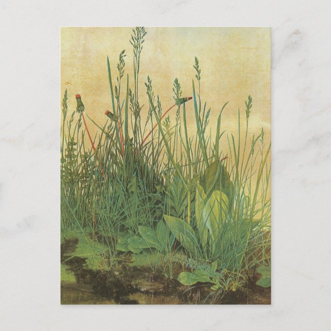 Postal Gran trozo de turf (Anverso)