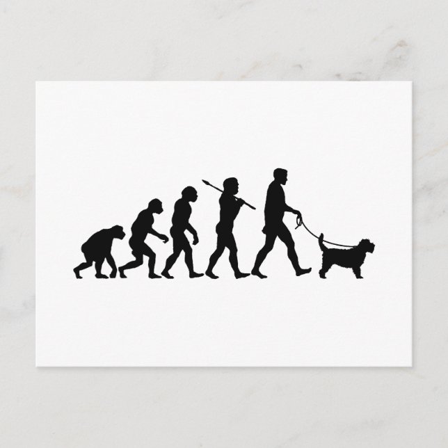 Postal Grand Basset Griffon Vendeen (Anverso)