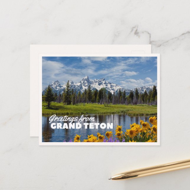 Postal Grand Teton National Park Spring Flower Reflection (Anverso/Reverso In Situ)