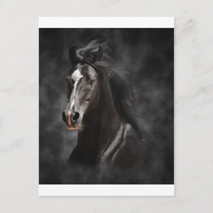 Postal Grande, intrépido, y orgulloso