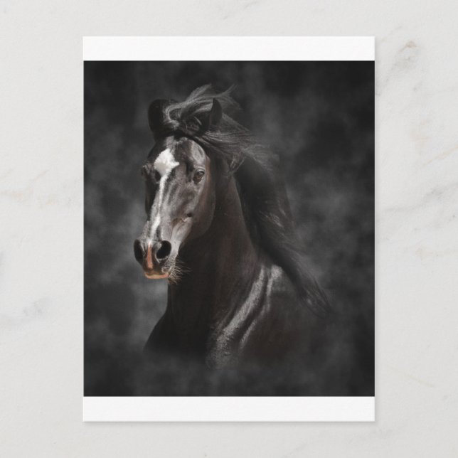 Postal Grande, intrépido, y orgulloso (Anverso)