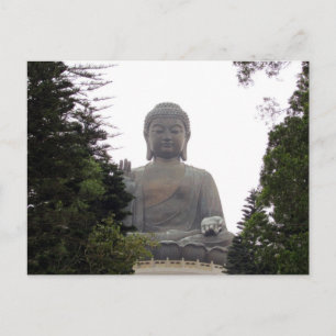 Postal grandes árboles de buddha
