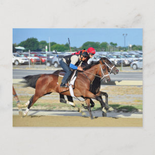Postal Grandes brotes de arena