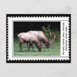 Postal Grandes Montañas Ahumadas