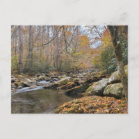 Grandes Montañas Ahumadas Caen El Río Otoño