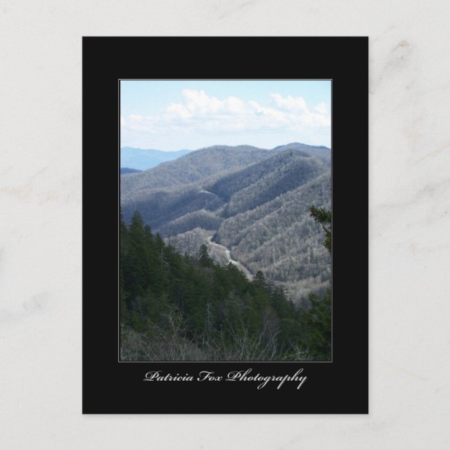 Postal Grandes Montañas Smoky 3 - Postcard (Anverso)