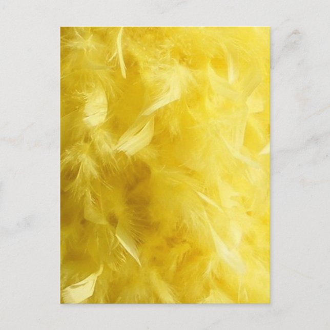 Postal Grandes plumas amarillas (Anverso)