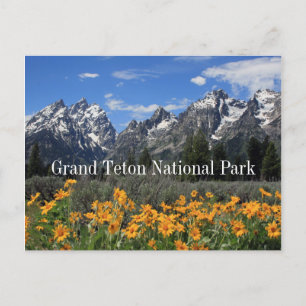 Postal Grandes tetones con nieve y flores de primavera