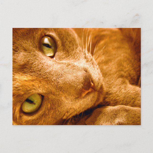 Postal Grandes Verdes (Anverso)