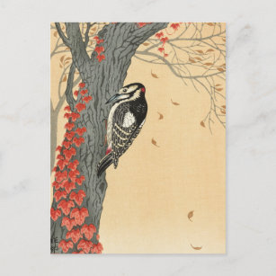 Postal Grandioso pájaro carpintero en árbol con marfil ro