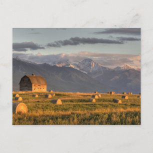 Postal Granero antiguo enmarcado por pacas de heno y dram
