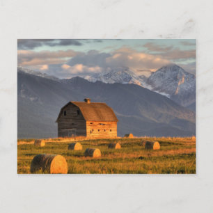 Postal Granero antiguo enmarcado por pacas de heno y dram
