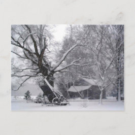 Postal Granero antiguo y roble en foto de invierno rural