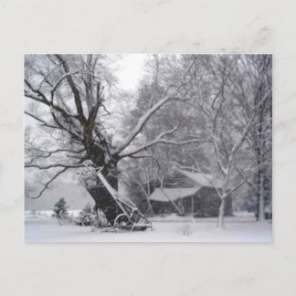 Postal Granero antiguo y roble en foto de invierno rural 