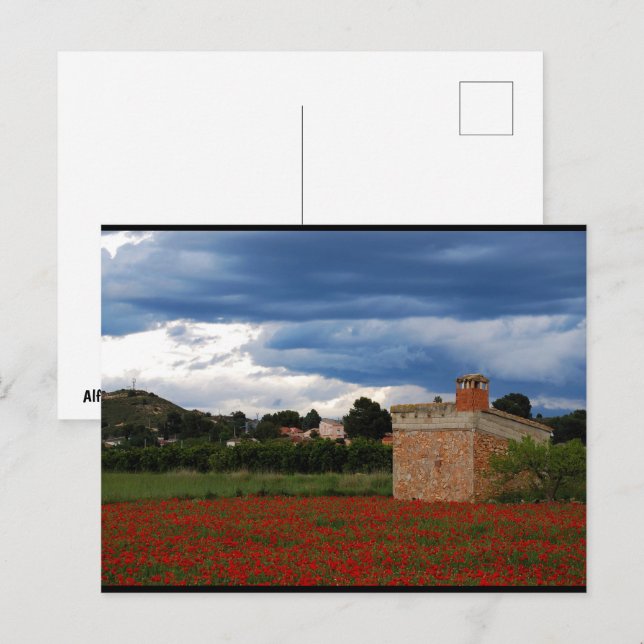 Postal Granero campestre en campo de amapolas (Anverso / Reverso)