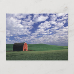 Postal Granero rojo en campo de trigo y cebada en Whitman