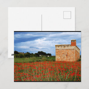 Postal Granero rural en campo floral de amapolas