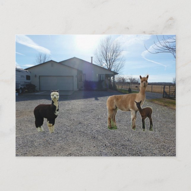 Postal Granja (Anverso)