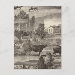 Postal Granja Cranmoor, río Toms, NJ