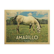 Granja de caballos Amarillo Texas - Viajes de cose