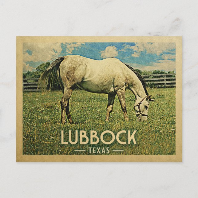 Postal Granja de caballos Lubbock Texas Postcard - Viajes (Anverso)