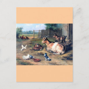 Postal Granja de cabra niños palomas