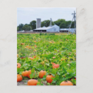 Postal Granja de calabaza