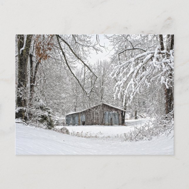 Postal Granja de cosecha en nieve fresca - Tennessee rura (Anverso)
