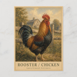 Postal Granja de Gallo Gallina VINTAGE