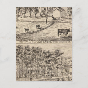 Postal Granja de ganado en Orwell Vermont