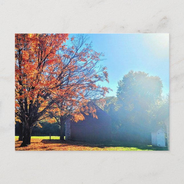 Postal Granja de granjas de otoño de Long Island New York (Anverso)