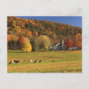 Postal Granja de Mount Holyoke en otoño