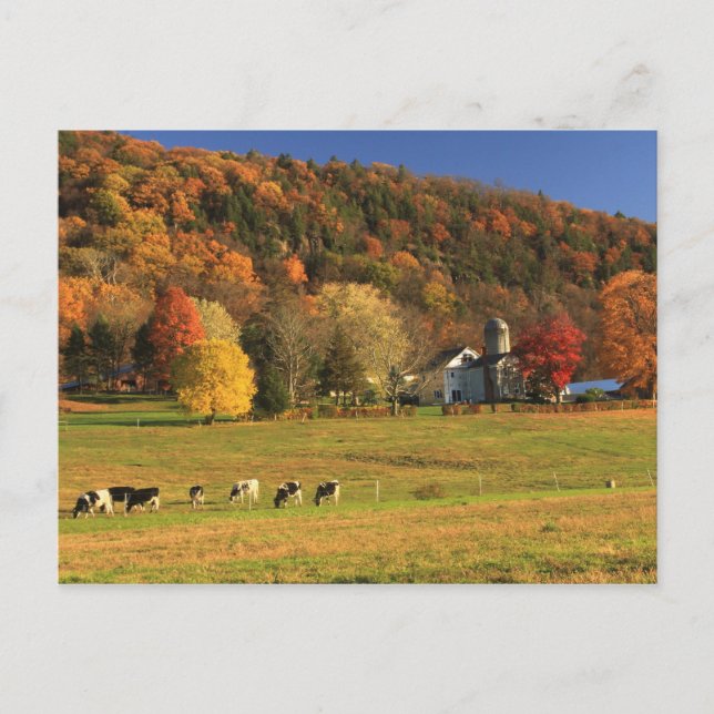 Postal Granja de Mount Holyoke en otoño (Anverso)