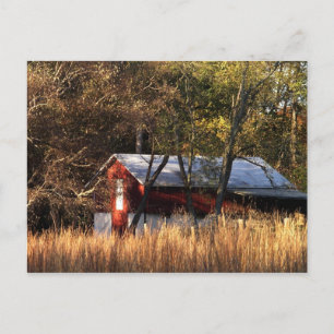 Postal Granja de otoño en el centro de Maryland