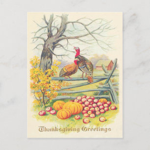 Postal Granja de Pavos Calabaza Manzanas Árbol Hojas de O