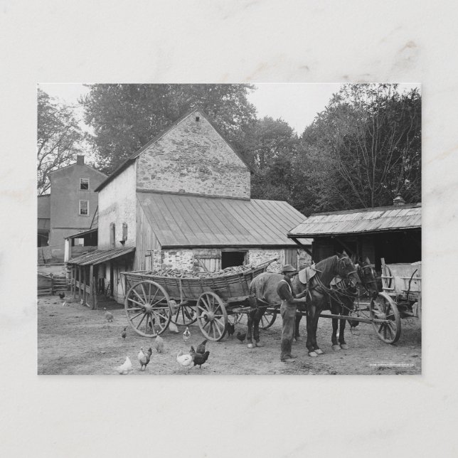 Postal Granja de Pensilvania, 1906 (Anverso)
