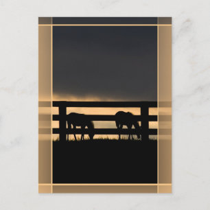 Postal Granja de Stallion vertical