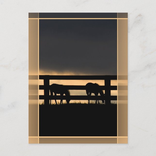 Postal Granja de Stallion vertical (Anverso)