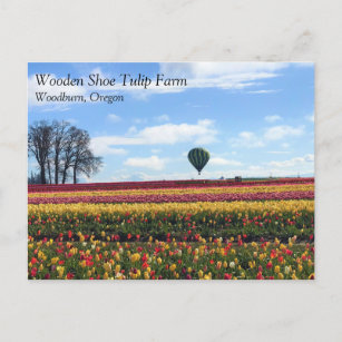Postal Granja de tulipanes de zapatos de madera, Woodburn