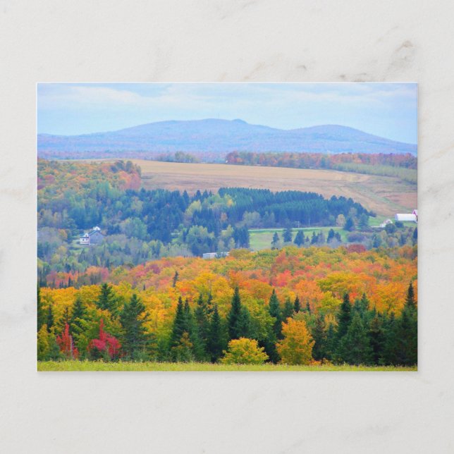 Postal Granja del Condado (Anverso)