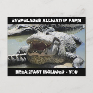 Postal Granja Everglades Alligator - desayuno incluido -
