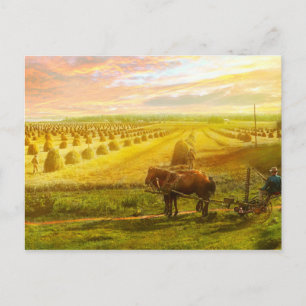 Postal Granja - Finlandia - Campo de esperanza 1899