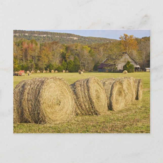 Postal Granja histórica en el río nacional del búfalo, (Anverso)