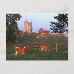 Postal Granja lechera