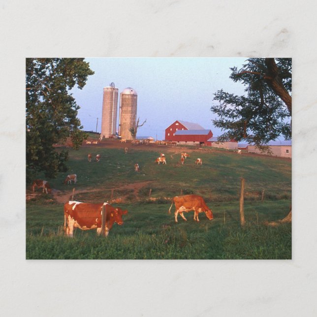 Postal Granja lechera (Anverso)